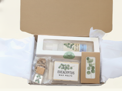 81679792