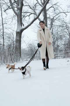81709727