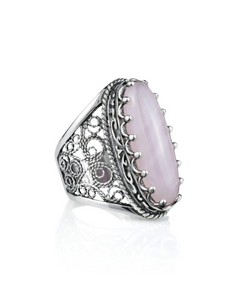 81705229