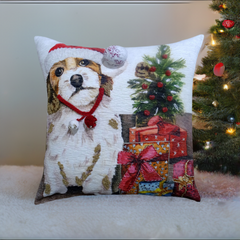 81710956
